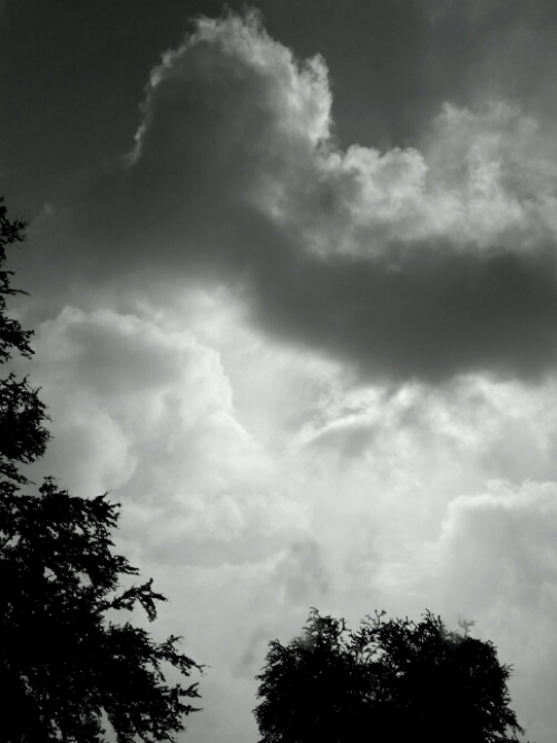 Scraps Of Light