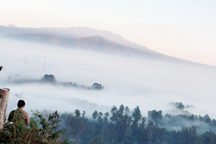 The Mist